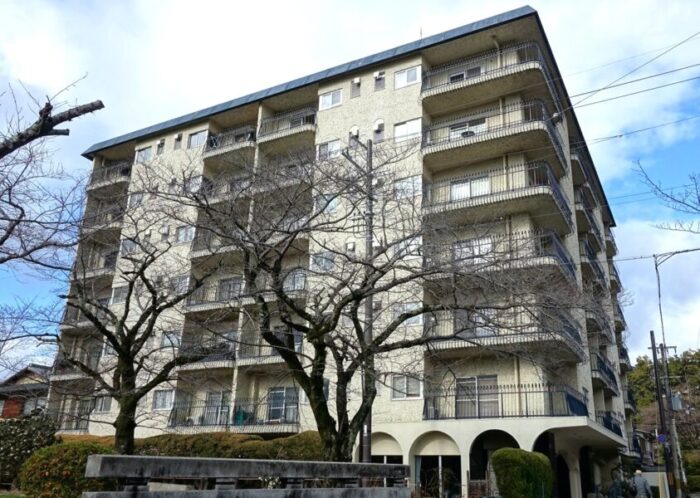 シャトー銀閣 全景 シャトー銀閣 全景